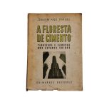 A Floresta de Cimento