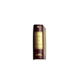 Os Lusíadas, Volume I